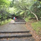 Randonnée à Yashima Visitez notre blog.
http://tamamoyoshi.com/blog/2019/10/05/randonnee-a-yashima/